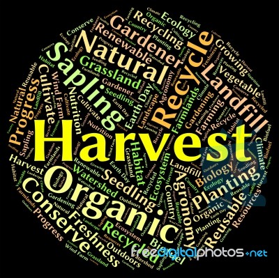 Harvest Word Means Produce Grains And Gather Stock Image