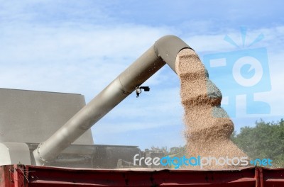 Harvesting Machine Stock Photo