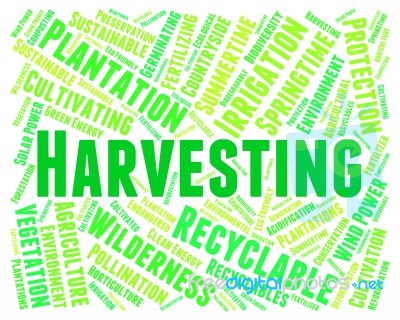 Harvesting Word Means Plants Plant And Harvests Stock Image