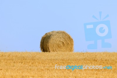 Hay Bale Stock Photo