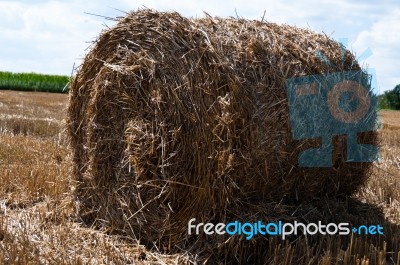 Hay Bale On Freshly Harvested Fields Stock Photo