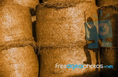 Hay Bales Stock Photo