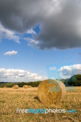 Hay Bales In A Field After The Harvest Stock Photo