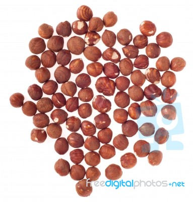 Hazelnuts Stock Photo