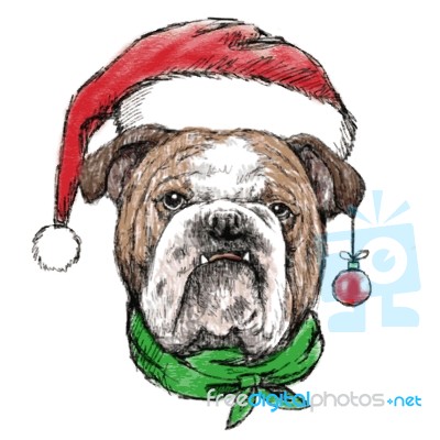 Head Of Bulldog With Santa Claus Hat Stock Image