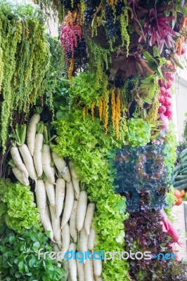 Healthy Fresh Vegetable Ingredients Displayed Stock Photo