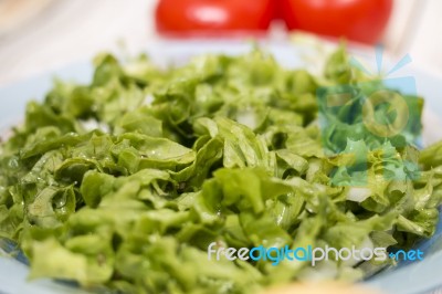 Healthy Letucce Salad Stock Photo