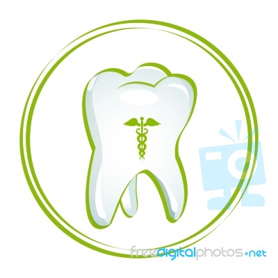 Healthy Teeth Stock Image