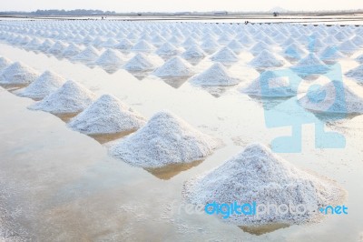 Heap Of Sea Salt In Original Salt Produce Farm Make From Natural… Stock Photo