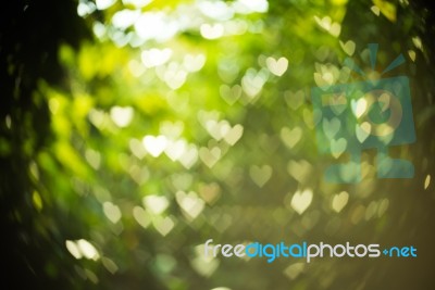 Heart Bokeh Background Stock Photo