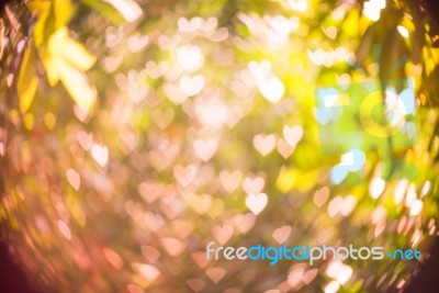 Heart Bokeh Background Stock Photo