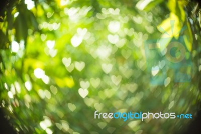 Heart Bokeh Background Stock Photo