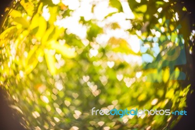 Heart Bokeh Background Stock Photo