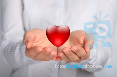 Heart In Hands Stock Photo