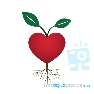 Heart Love Young Plant Flat Icon  Illustration Stock Image