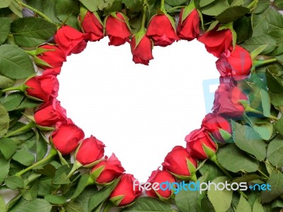 Heart Made Of Red Roses On Stem Stock Photo