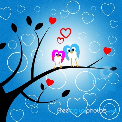 Heart Owls Indicates Valentine Day And Environment Stock Image