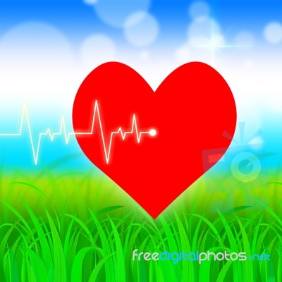 Heart Pulse Represents Valentine Day And Cardiology Stock Image