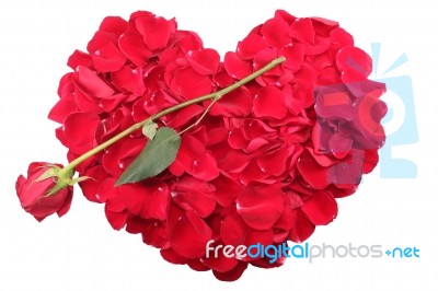 Heart Shape Of Red Rose Petals With A Red Rose Stock Photo