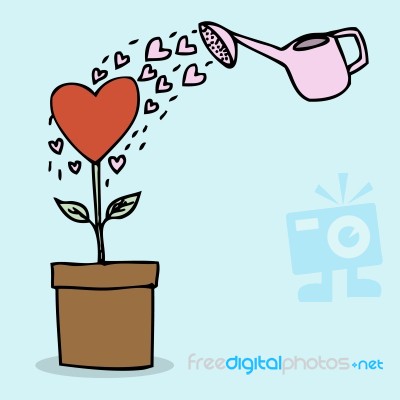 Heart Shape Plant Stock Image