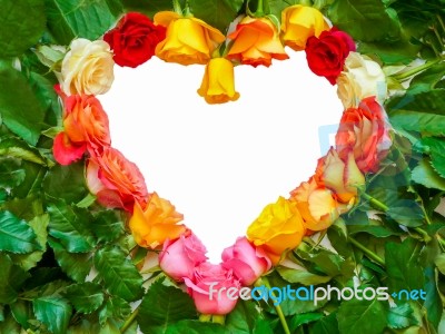 Heart Symbol Of Colorful Roses Stock Photo