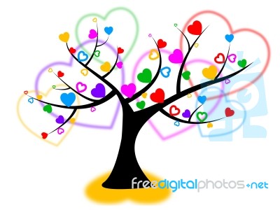 Heart Tree Indicates Valentines Day And Forest Stock Image