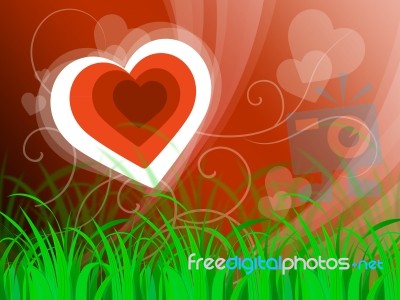 Hearts Background Means Beautiful Landscape Or Loving Nature
 Stock Image