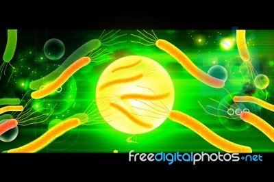 Helicobacter Bacteria Stock Image