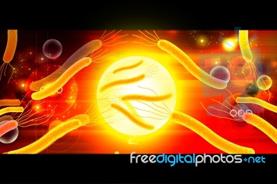 Helicobacter Bacteria Stock Image