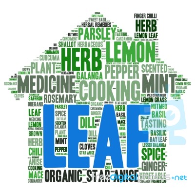 Herb Tag Word Cloud Background Stock Image