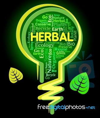 Herbal Lightbulb Represents Rural Environment And Green Stock Image