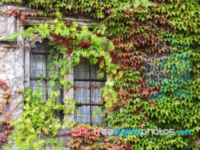 Hever, Kent/uk - September 16 : Window At Hever Castle In Hever Stock Photo