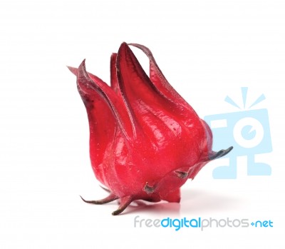 Hibiscus Sabdariffa Or Roselle Fruits Stock Photo