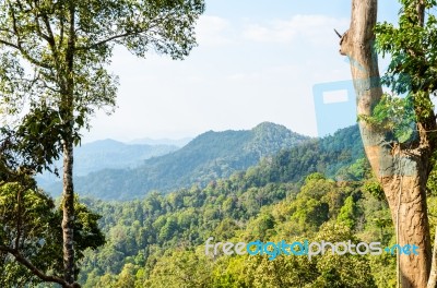 High Angle View Forest Mountain And Sky Stock Photo