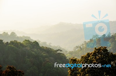 High Angle View Forest Mountain And Sky Stock Photo