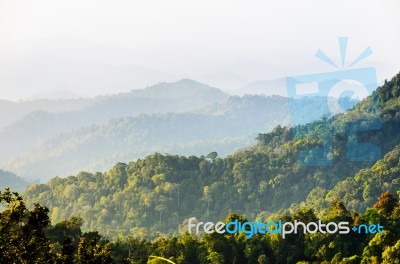 High Angle View Forest Mountain And Sky Stock Photo