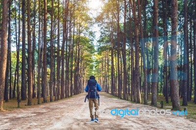 Hiking Man With Backpack Walking In Forest Stock Photo