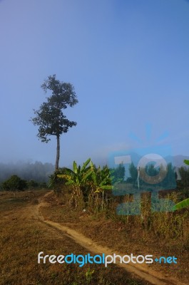 Hiking Trails In The Early Morning Stock Photo