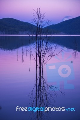 Hinze Dam At Dusk Stock Photo