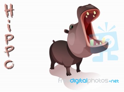 Hippo Stock Image