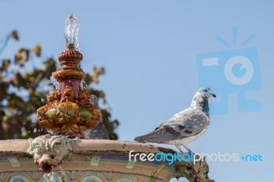 Historical Urban Fountain Stock Photo