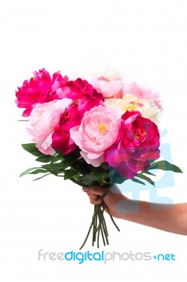 Holding Bunch Of Flowers Stock Photo