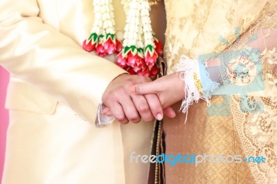 Holding Hands With Each Other Stock Photo