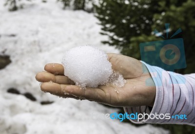 Holding Snow Ball  In One Hand Stock Photo