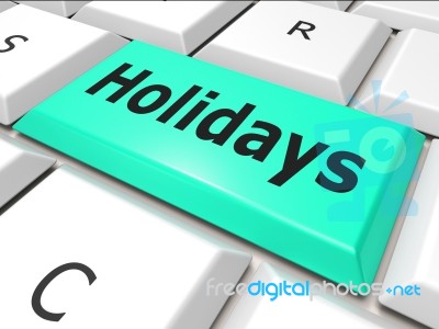 Holiday Book Represents World Wide Web And Www Stock Image