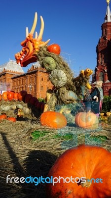 Holloween Day Stock Photo