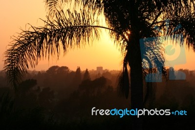 Hollywood Sunset Stock Photo