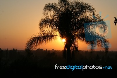 Hollywood Sunset Stock Photo