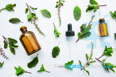 Holy Basil Essential Oil In A Glass Bottle With Fresh Holy Basil… Stock Photo