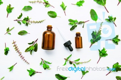 Holy Basil Essential Oil In A Glass Bottle With Fresh Holy Basil… Stock Photo